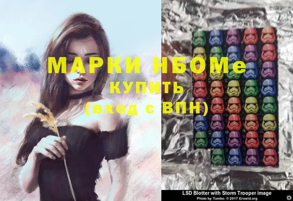 сатива Балахна