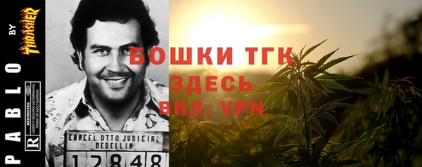сатива Балахна