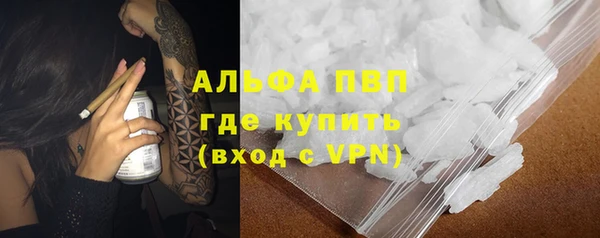 спайс Баксан