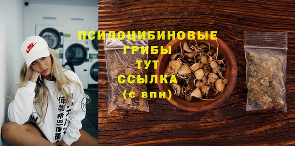 спайс Баксан
