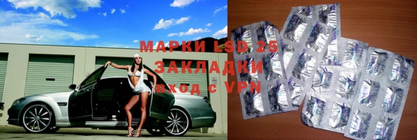 спайс Баксан