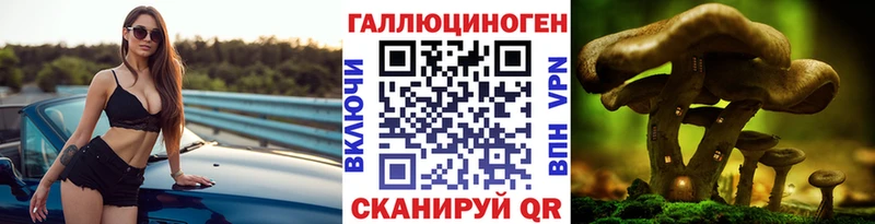 Псилоцибиновые грибы Psilocybine cubensis  Тихвин 
